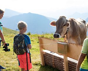 Bergbahnen-diedamskopf-themenwanderweg-sommer-bregenzerwald-au-schoppernau