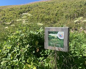 wanderweg 2022 aussichtspunkt ost bergbahnen diedamskopf(7)