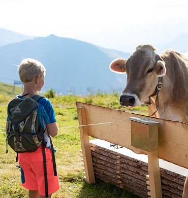bergbahnen-diedamskopf-themenwanderweg-sommer-bregenzerwald-au-schoppernau-2-5