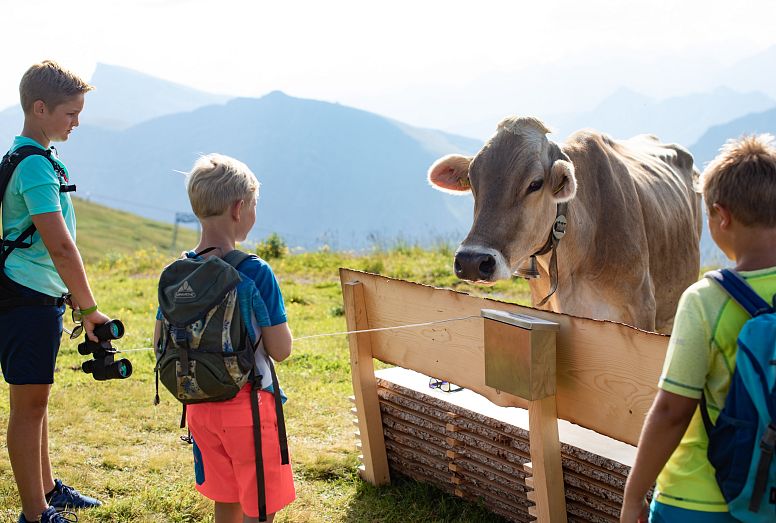 bergbahnen-diedamskopf-themenwanderweg-sommer-bregenzerwald-au-schoppernau-2