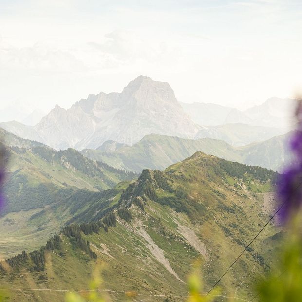 bergpanorama-gesehen-vom-diedamskopf-c-lucas-tiefenthaler-bregenzerwald-tourismus-1-3